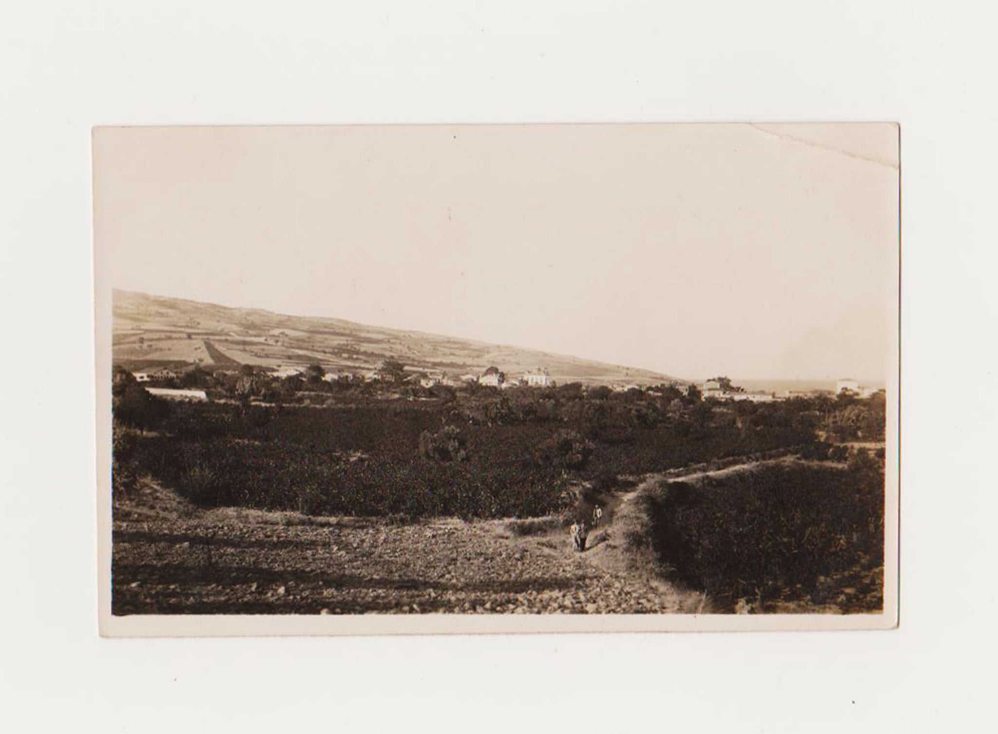 [FOTOĞRAF] 1940'lar - Müreftenin garptan görünüşü (Mürefte - Tekirdağ)