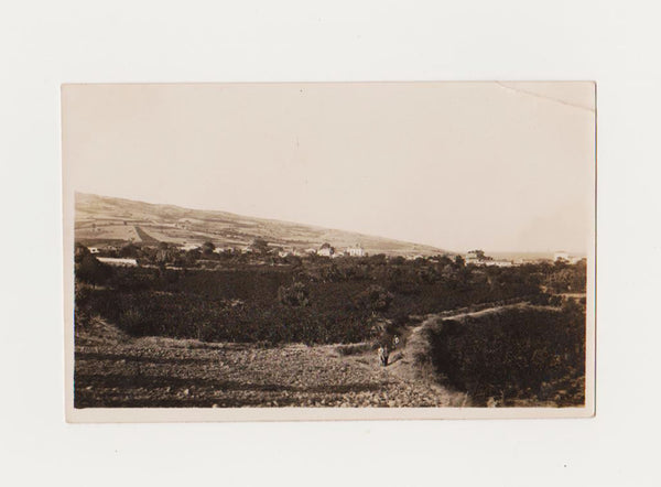 [FOTOĞRAF] 1940'lar - Müreftenin garptan görünüşü (Mürefte - Tekirdağ)