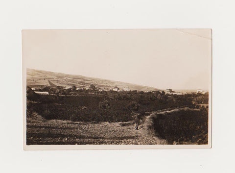 [FOTOĞRAF] 1940'lar - Müreftenin garptan görünüşü (Mürefte - Tekirdağ)