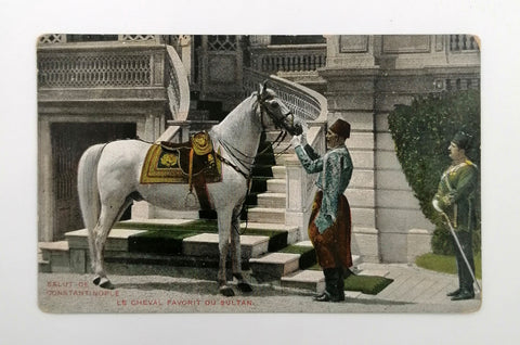 [KP / ATÇILIK] Salut de Constantinople. Le Cheval Favorit du Sultan [i.e. Padişah'ın favori atı]