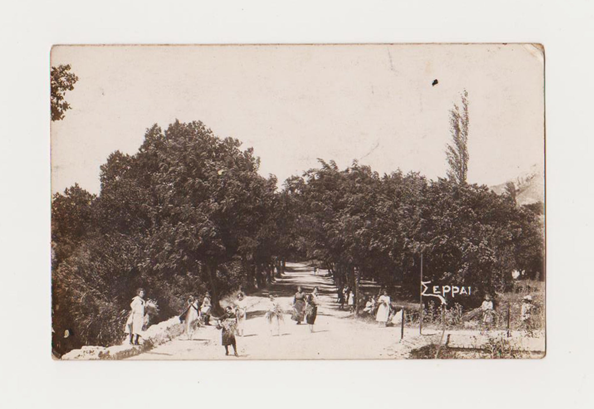 [FOTOĞRAF / OSMANLI SARAYI] 1 / Ocak / 1925 tarihinde İstanbul'a gönderilmiş Rumca mektuplu ve Rumca "Saray [i.e. Serrai] yazılı nadir fotoğraf: Kadın ve kız çiçek toplayanları göstermekte (Sarayın çiçekçileri olabilir)